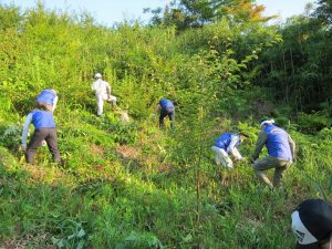 草刈りの様子１