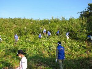 草刈りの様子３