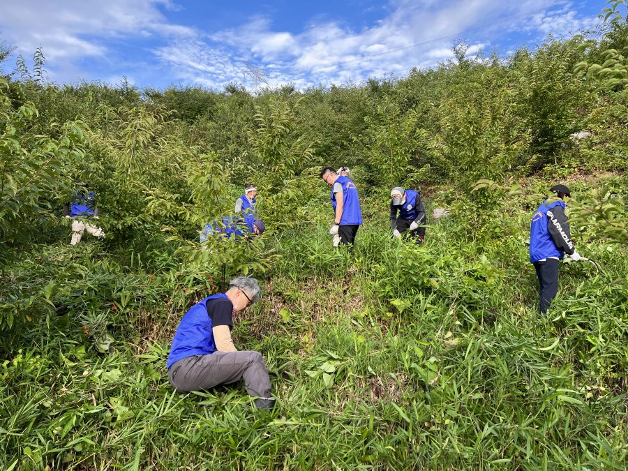 2022年植樹地の草刈り